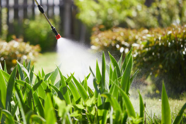 24/7 Emergency Termite Control experts in Fowlkes, TN